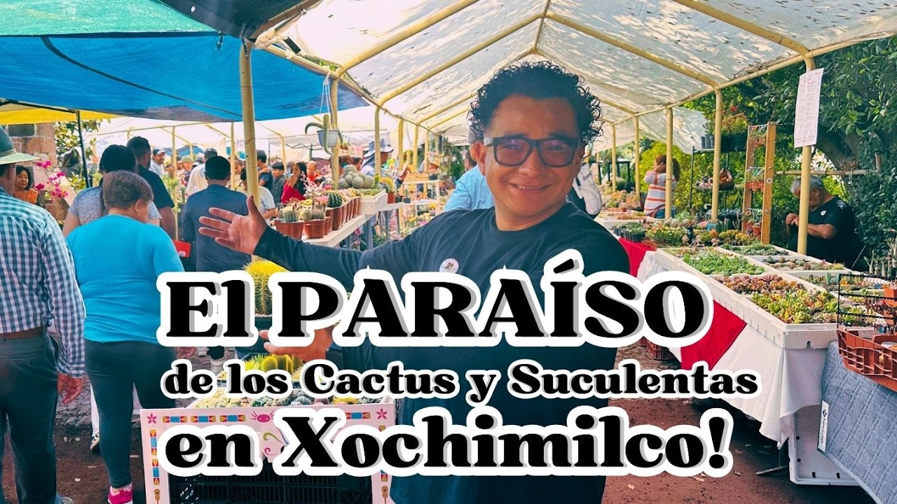 Descubre los Cactus Más Sorprendentes del Festival APC México