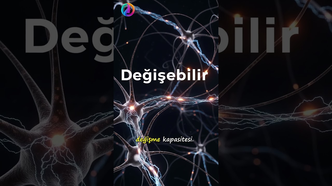 25’ten Sonra Beyin Gelişmez” Efsanesi 🧠| VitaAxis