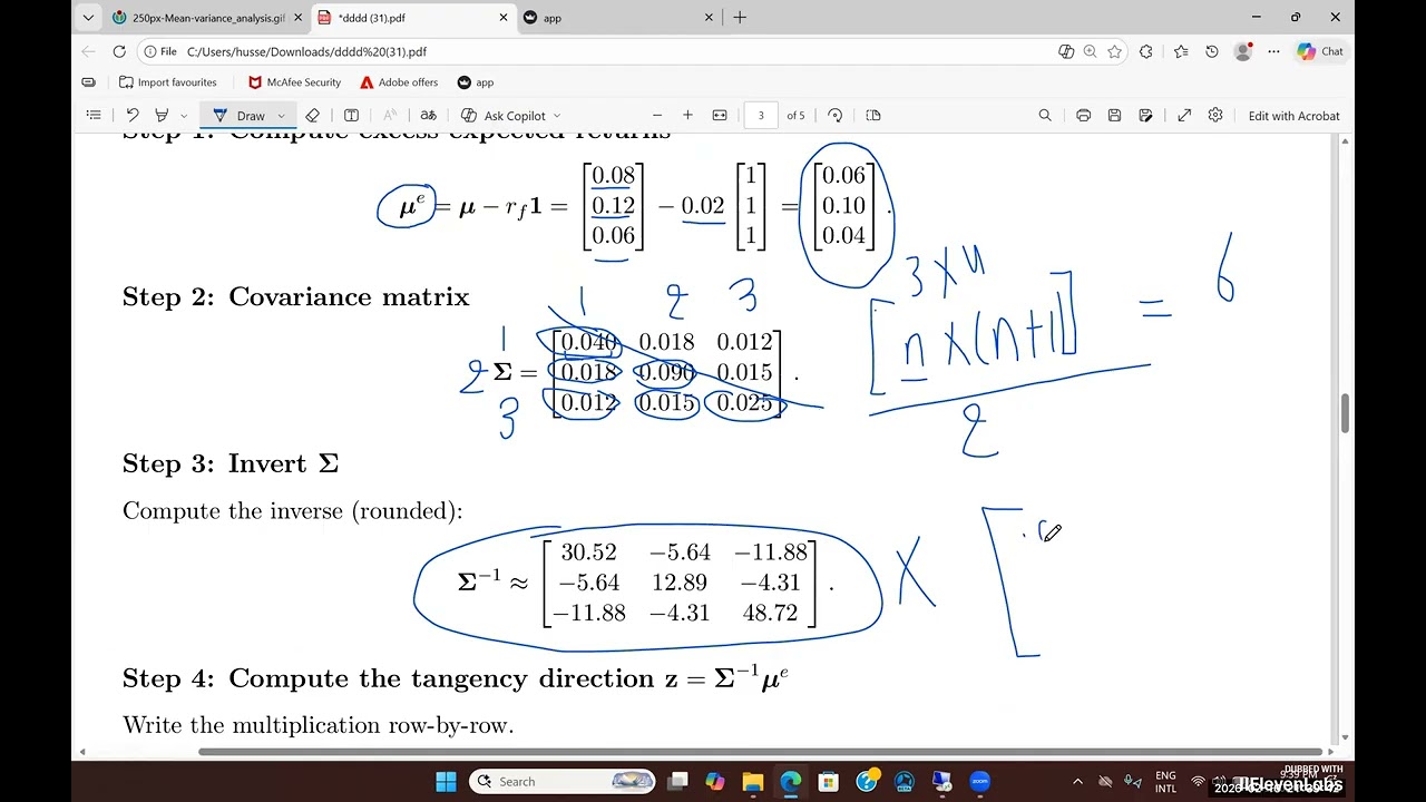 Maximum Sharpe Ratio Portfolio Optimization: Theory and Implementation