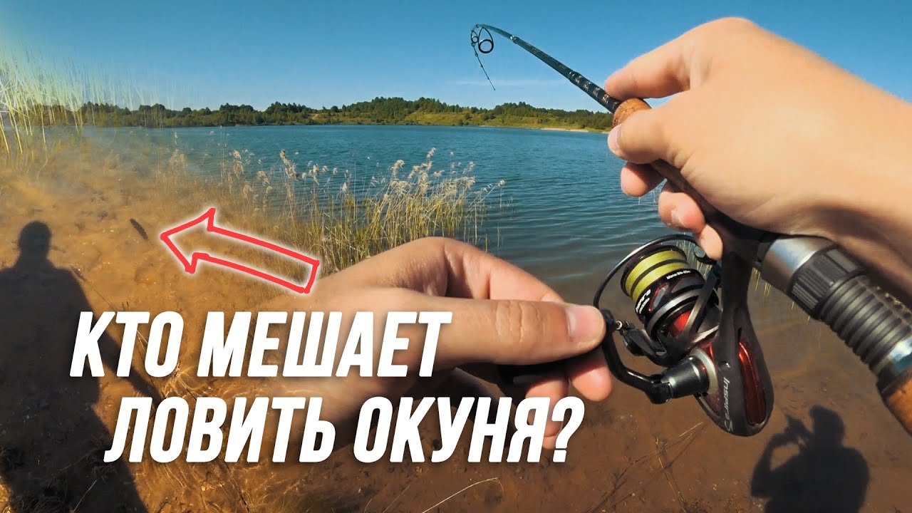 Почему окунь НЕ клюёт? Кто мешает ловить окуня? Ловим тут