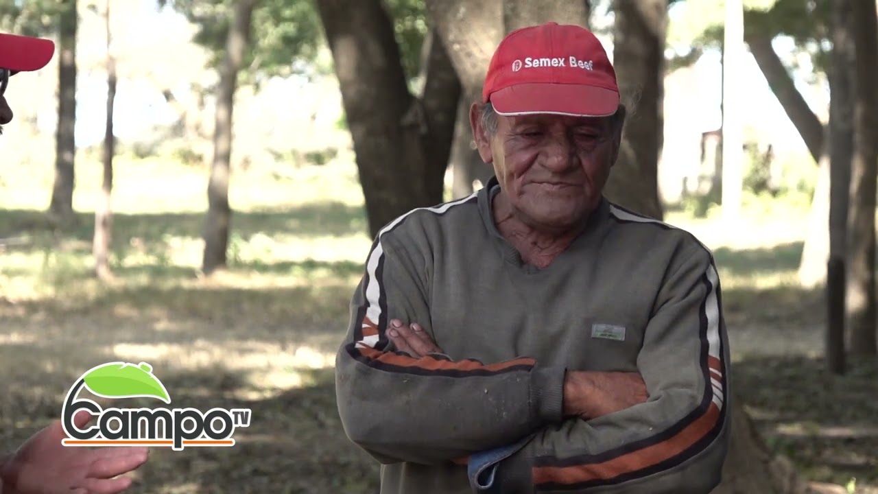 MINGO GOROSITO   CARNEADA