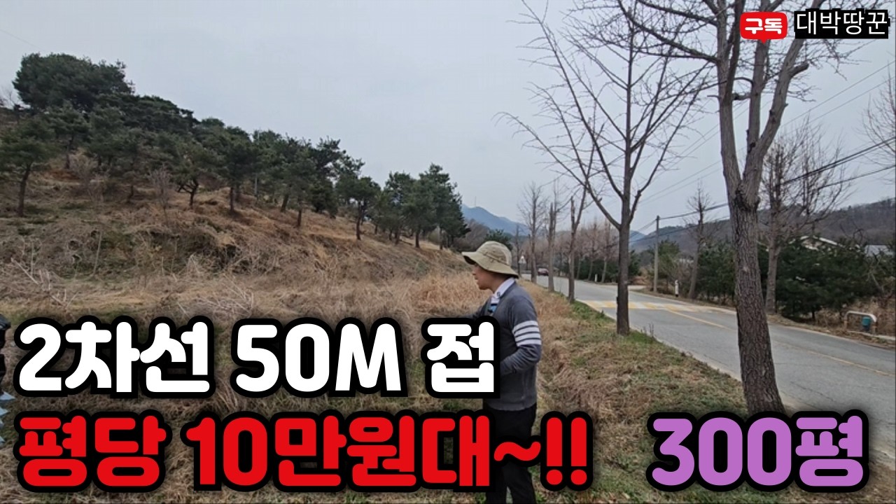 2차선 50m 접한 코너자리 계획관리 경매 토지가 평당 10만원대 나왔다 ?!! 주변 산업단지 개발 호재 및 IC 가까운 투자가치 충분#토지#강의#부동산#재테크#땅#농지연금#경매