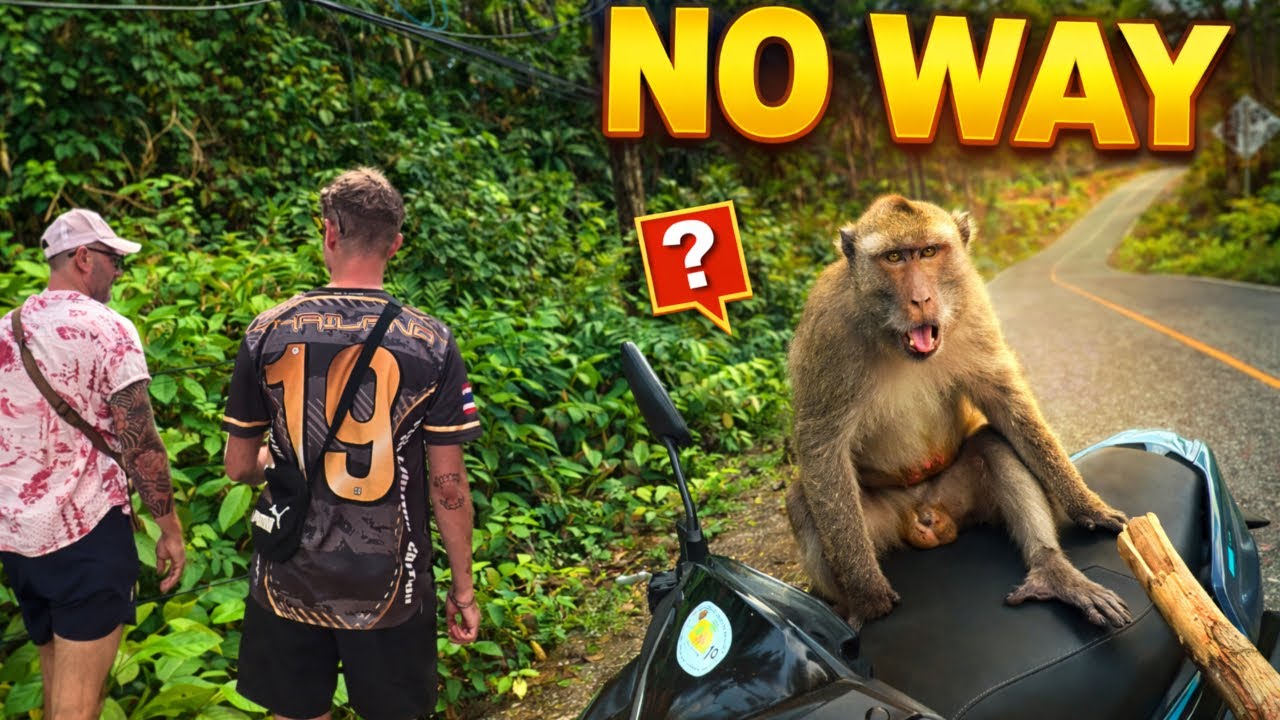 GTA 6 Monkey 🇹🇭