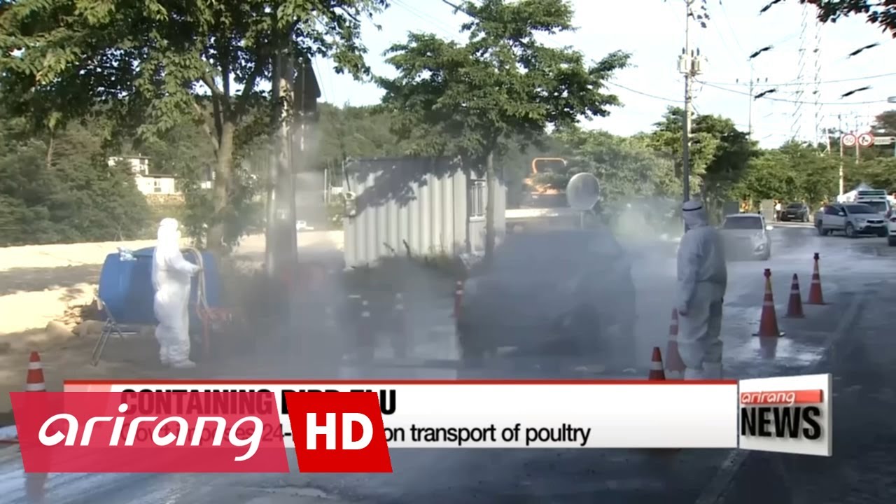 Korea imposes 24-hour ban on poultry transport amid bird flu outbreak