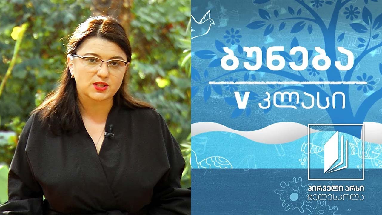 ბუნება V კლასი - ცხოვრება ტყეში; იარუსიანობა #ტელესკოლა