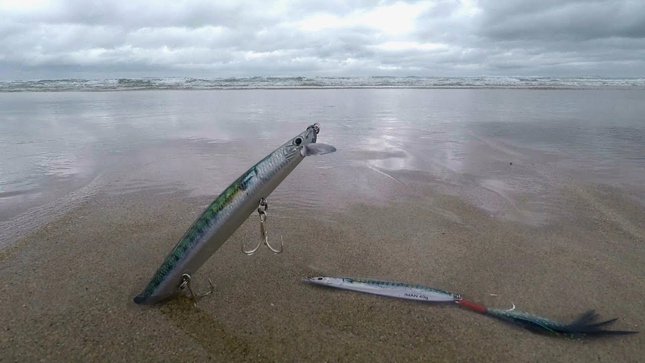 La pesca de la lubina en Galicia
