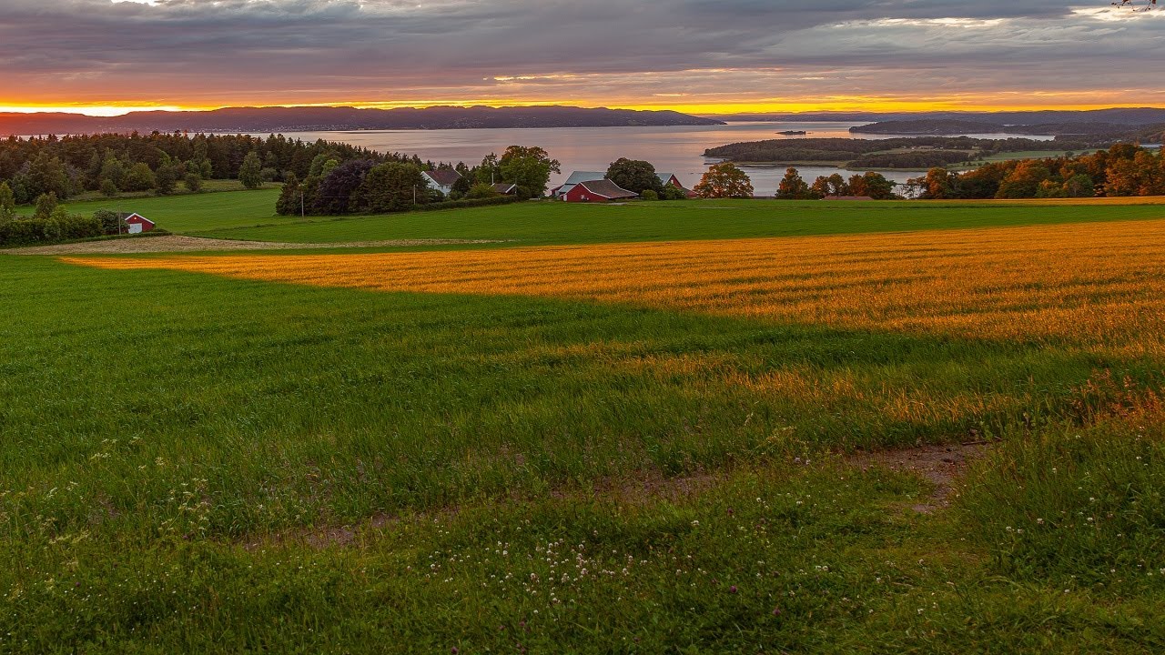 Norway Moss Jel&oslash;y TimeLapse 4K Full