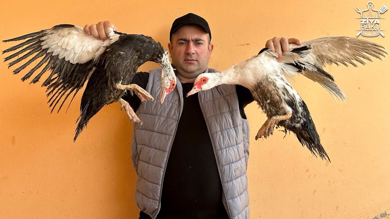 Şüşə qabda çox dadlı ördək yeməyi