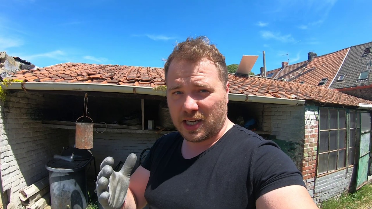 Intervention : Infestation de RATS dans une habitation