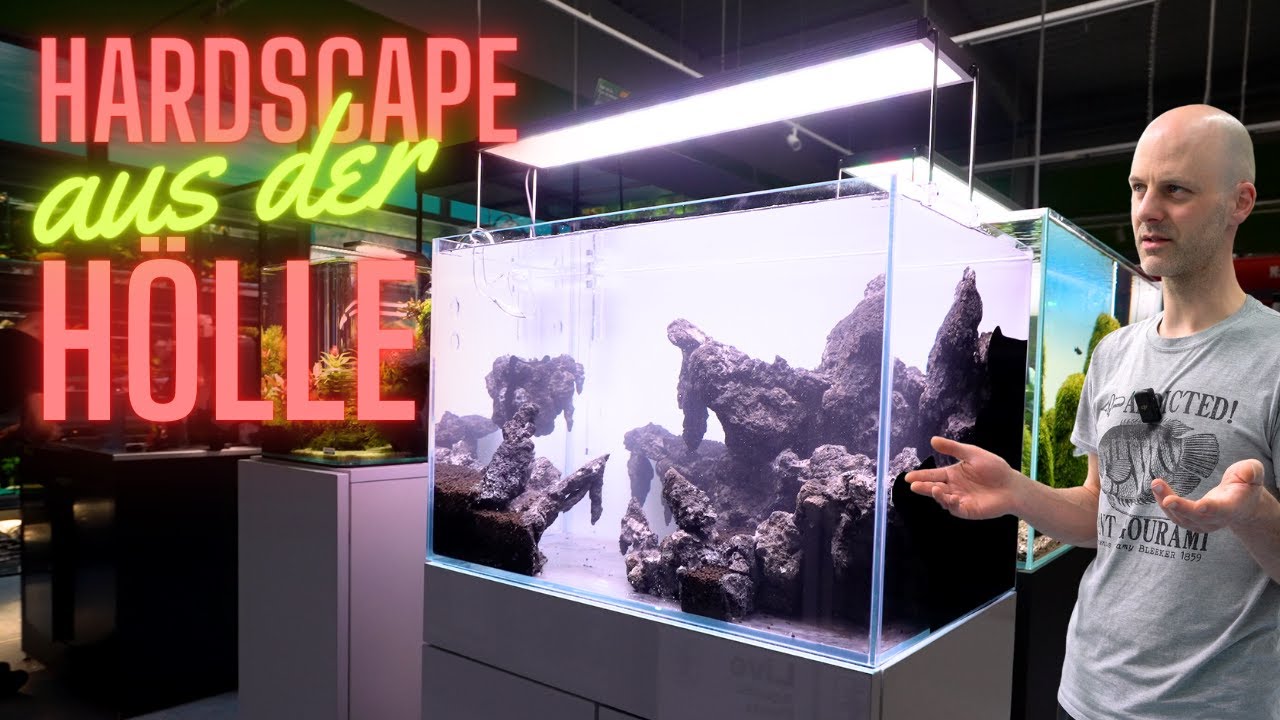 Unser erstes Indonesian Style Aquascape | Amtra Station Tank 60 cm