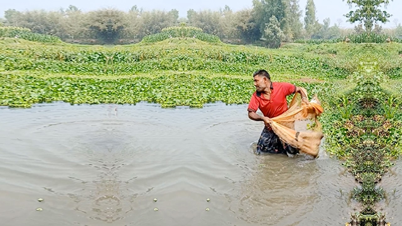 Unbelievable Cast Net Fishing Video - Traditional Net Fishing Video - Amazing Net Fishing Skill