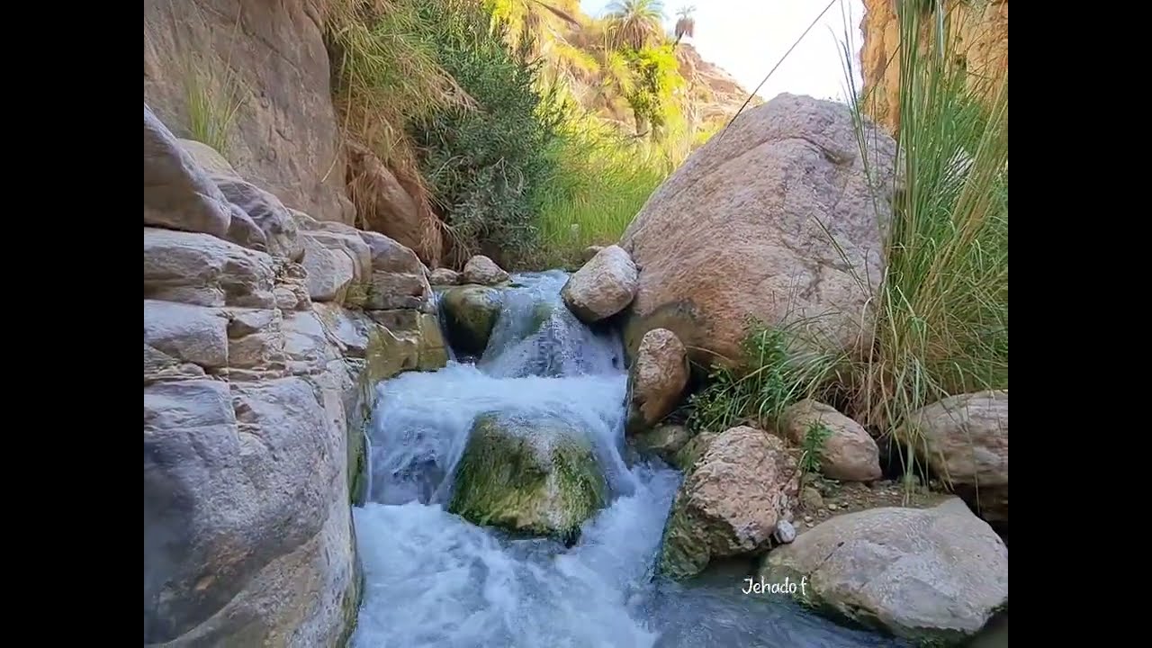 فيديو توثيق مسار وادي بن حماد أجمل الأودية المائية في الاردن الواقع في محافظة الكرك 102025 #jordan 