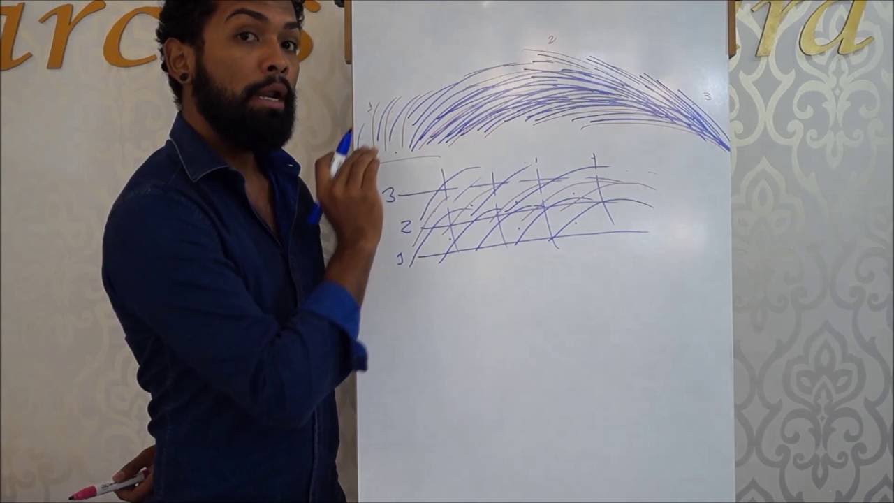 Anatomia da Sobrancelha