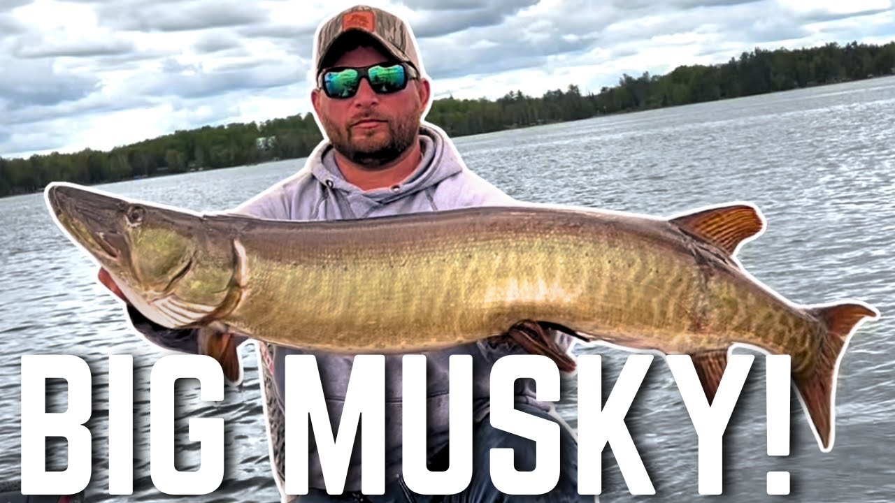 Epic Musky Strike &ndash; Northern Wisconsin Musky Opener 2025