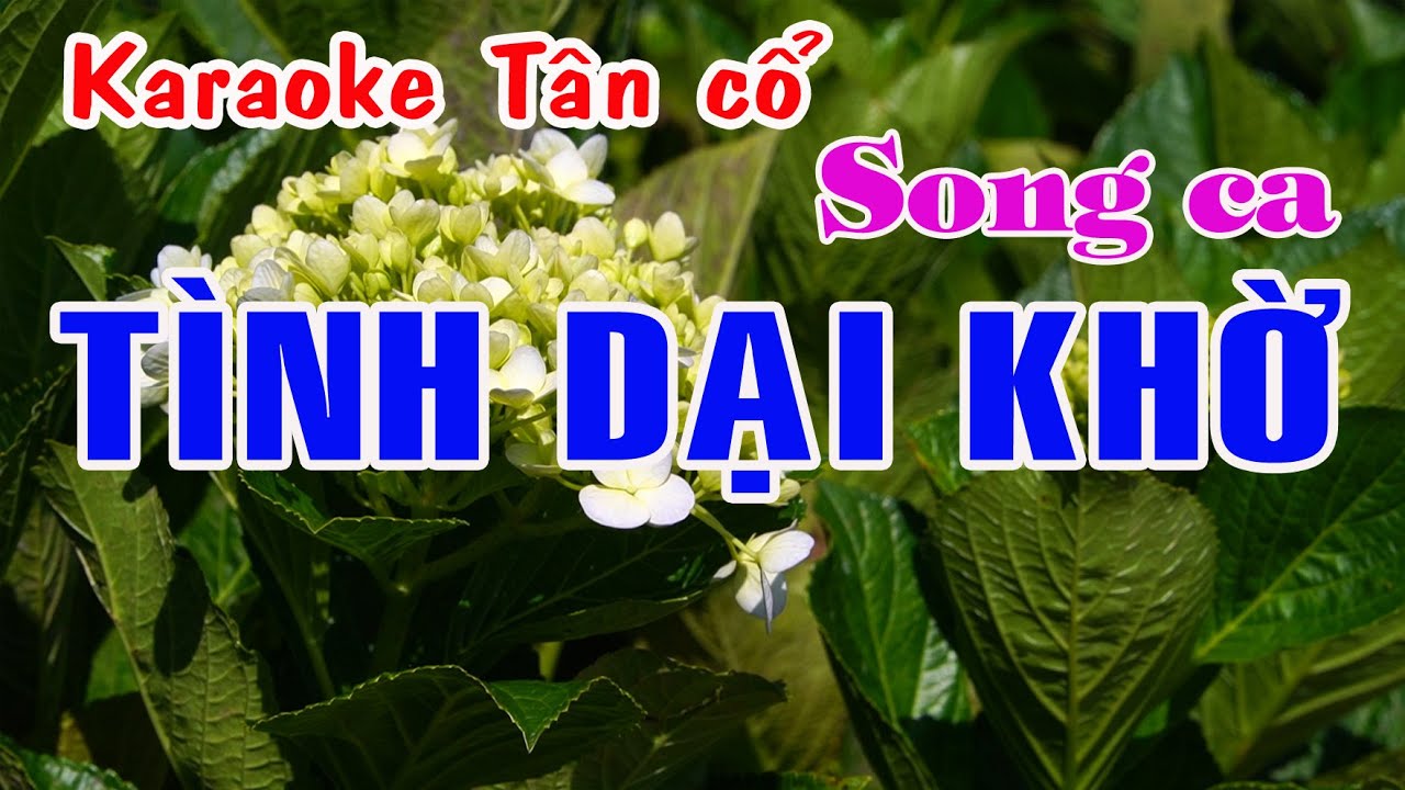 Karaoke tân cổ TÌNH DẠI KHỜ - SONG CA