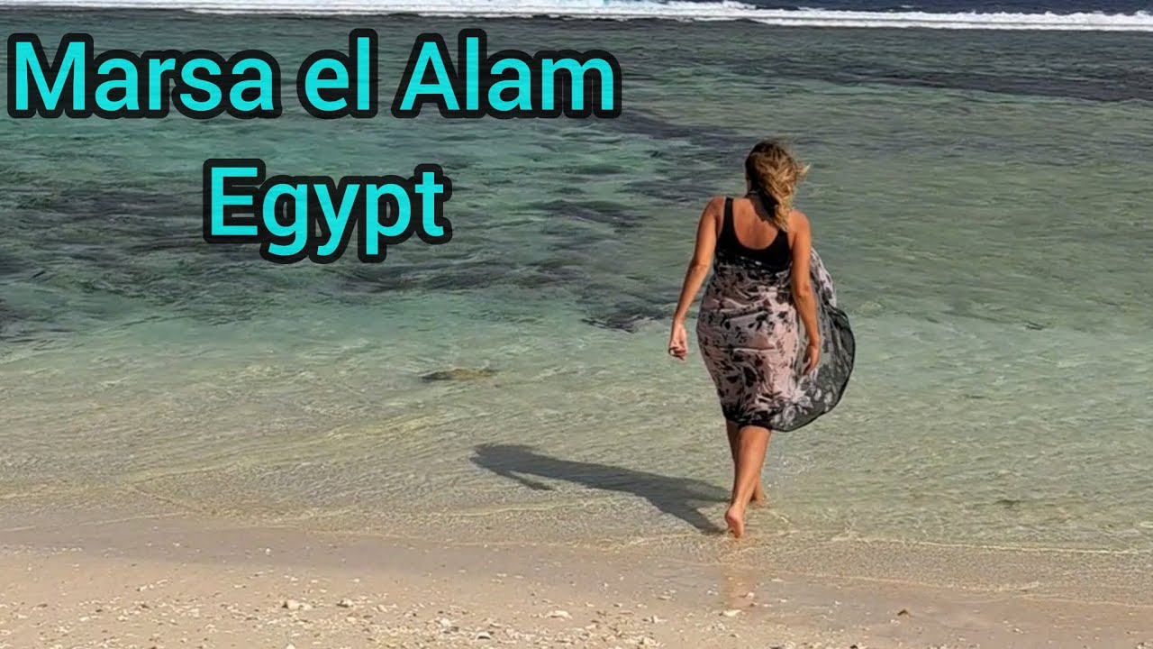 Royal Brayka, Brayka Bay 2023 обзор отеля  и бухты с черепахами. Египет.  Egypt Marsa Alam.