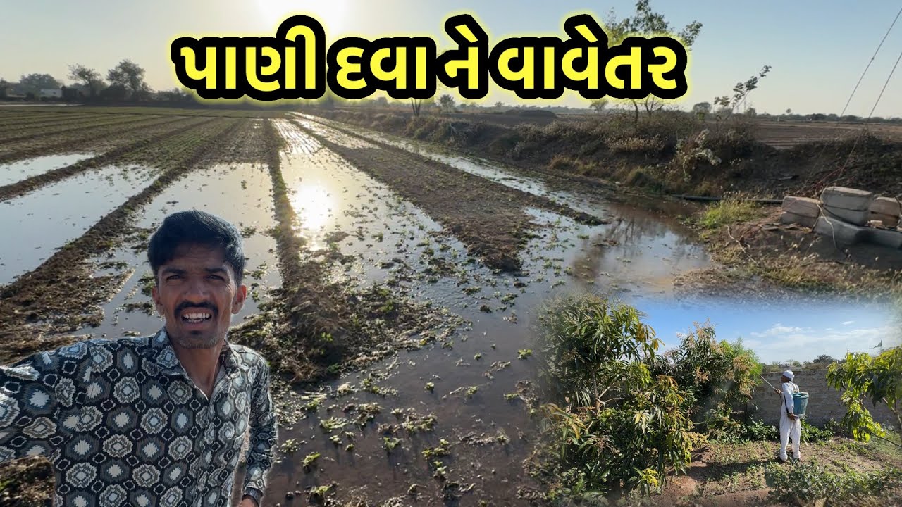 પાણી દવા ને વાવેતર બધું ભેગું || village life 