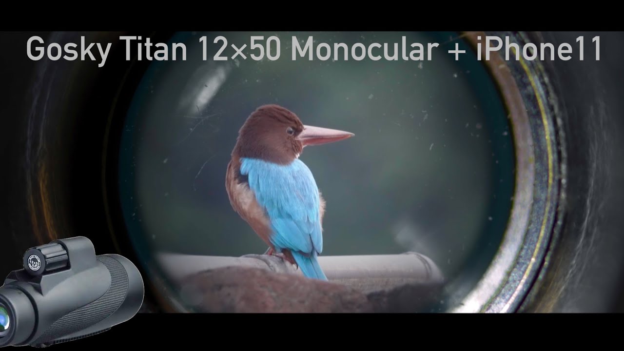 Gosky Titan 12X50 Monocular - BIRDING (4K Video test)