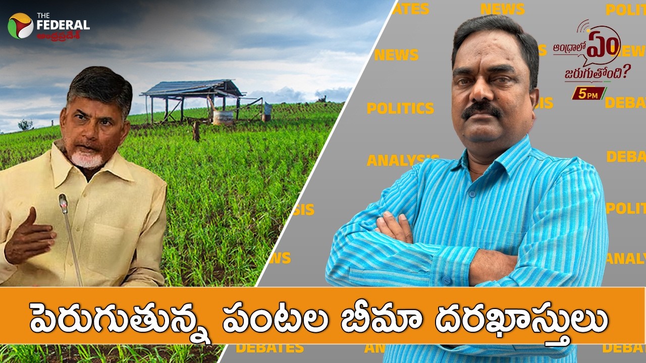 పెరుగుతున్న పంటల బీమా దరఖాస్తులు | More Farmers Opt for Crop Insurance Amid Weather Risks