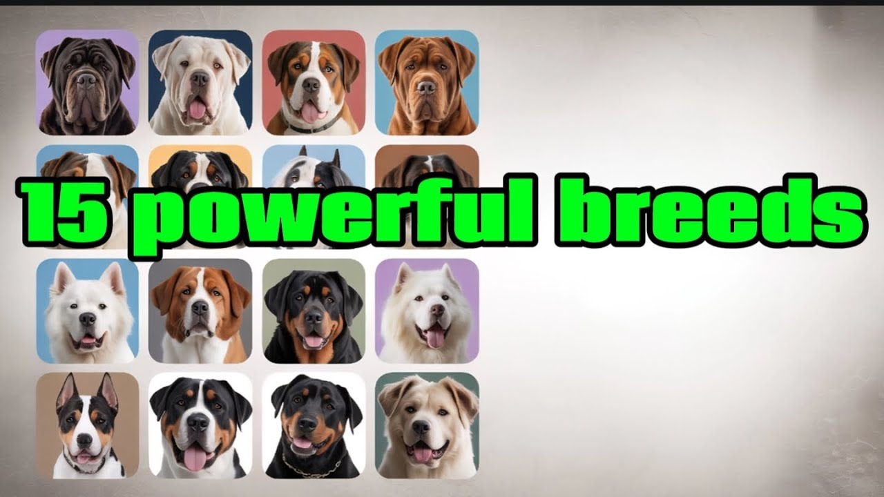 15 Powerful Breeds 