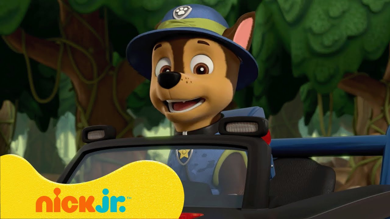 Paw Patrol - La Squadra dei Cuccioli | I PAW Patrol salvano i fenicotteri! 🦩 | Nick Jr. Italia