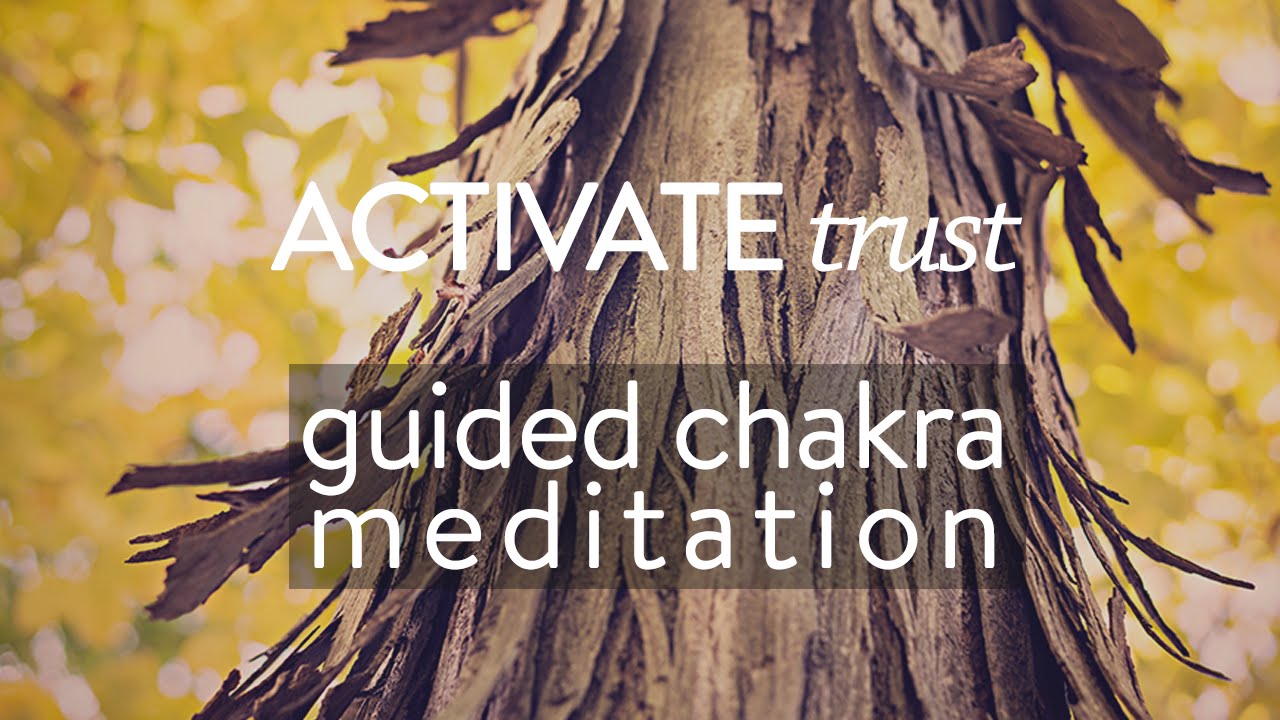 5-Minute Guided Meditation to Activate Trust | Root Chakra