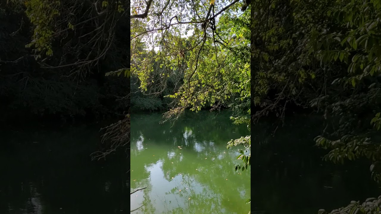 A short hike in Belize (Cayo District) March 25, 2020