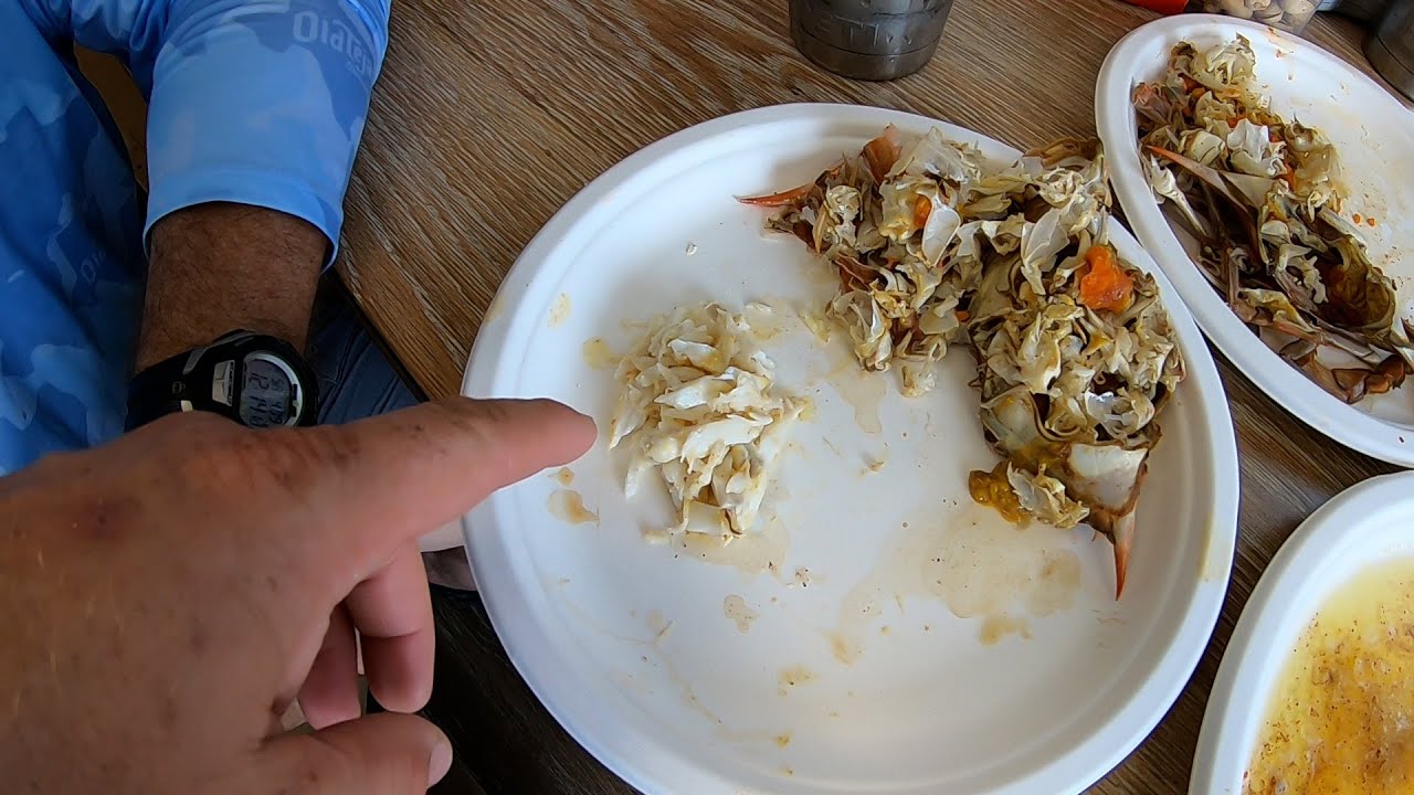 HOW TO COOK A BLUECRAB AND HOW TO GET THE MEAT OUT