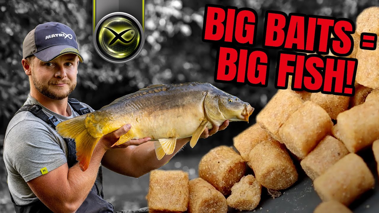 CATCH MORE ON HARD PELLETS! (Aidan Mansfield's TOP TIPS!)