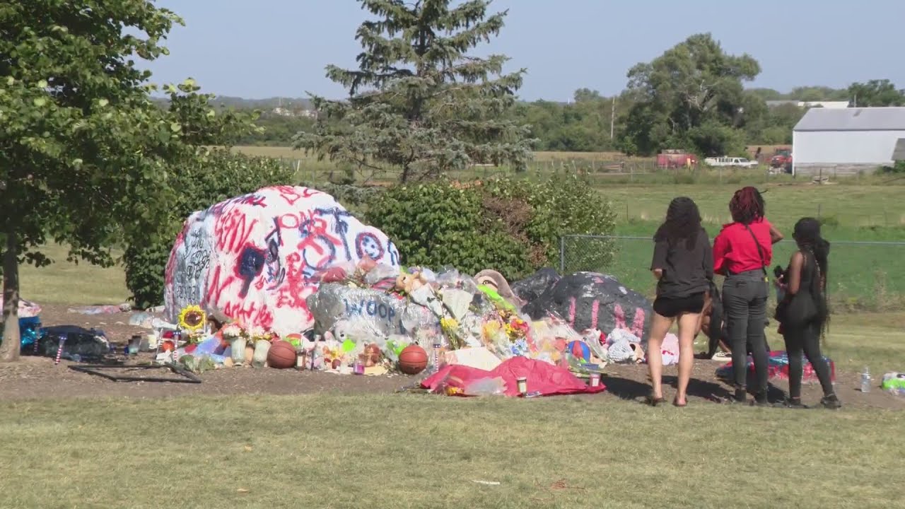 Balloon release held in honor of South Elgin teen killed in crash