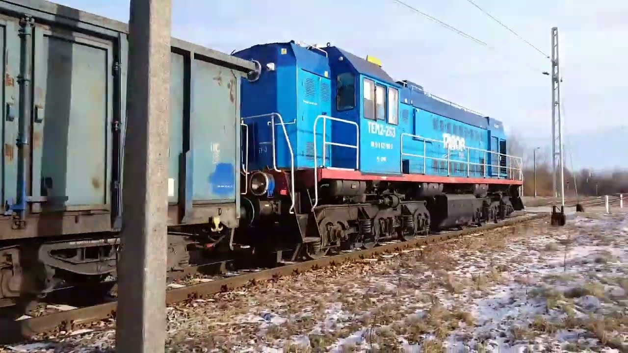 Pociągi w Połańcu. Trzy ujęcia TEM2-263 i Škoda w zimowej scenerii