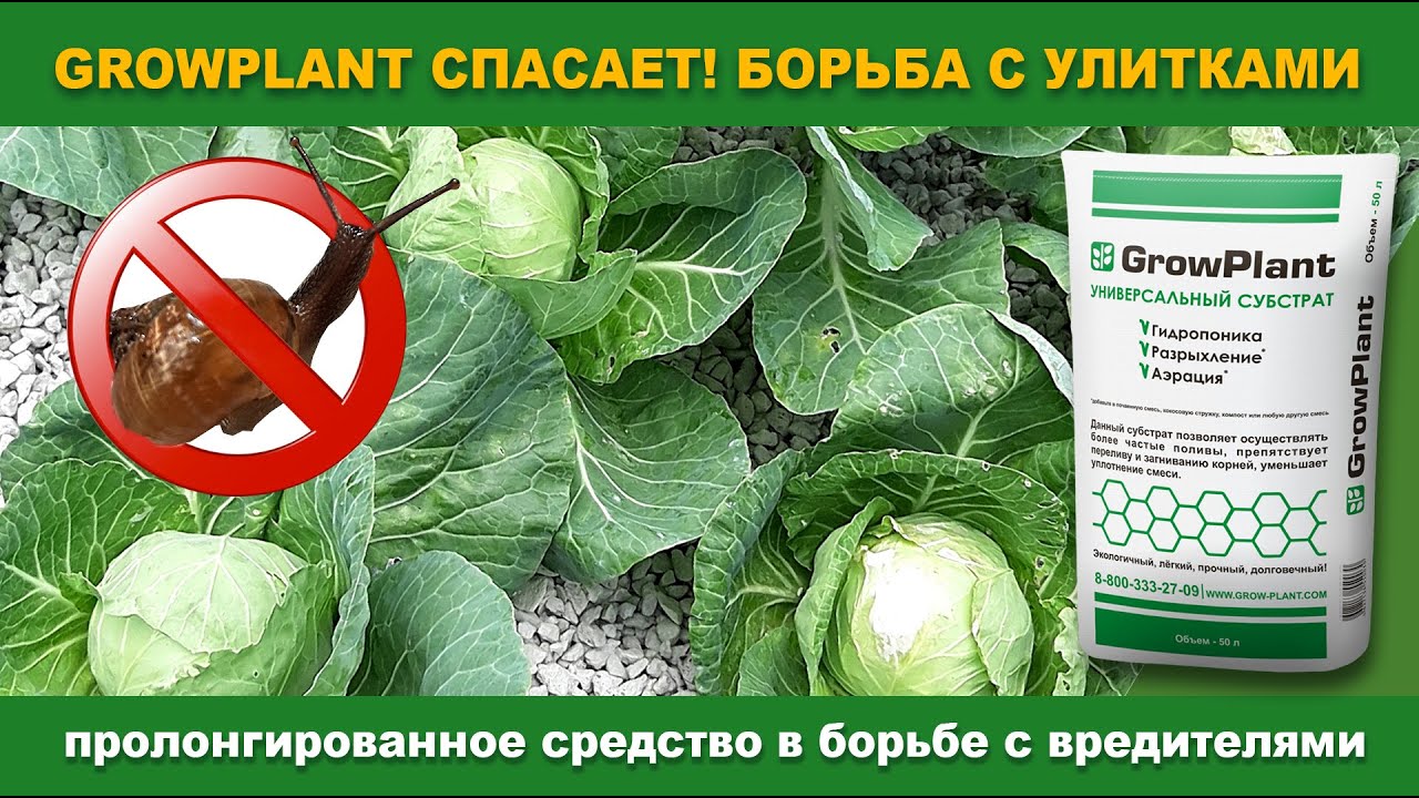 GROWPLANT  - БОРЬБА СО СЛИЗНЯМИ И УЛИТКАМИ