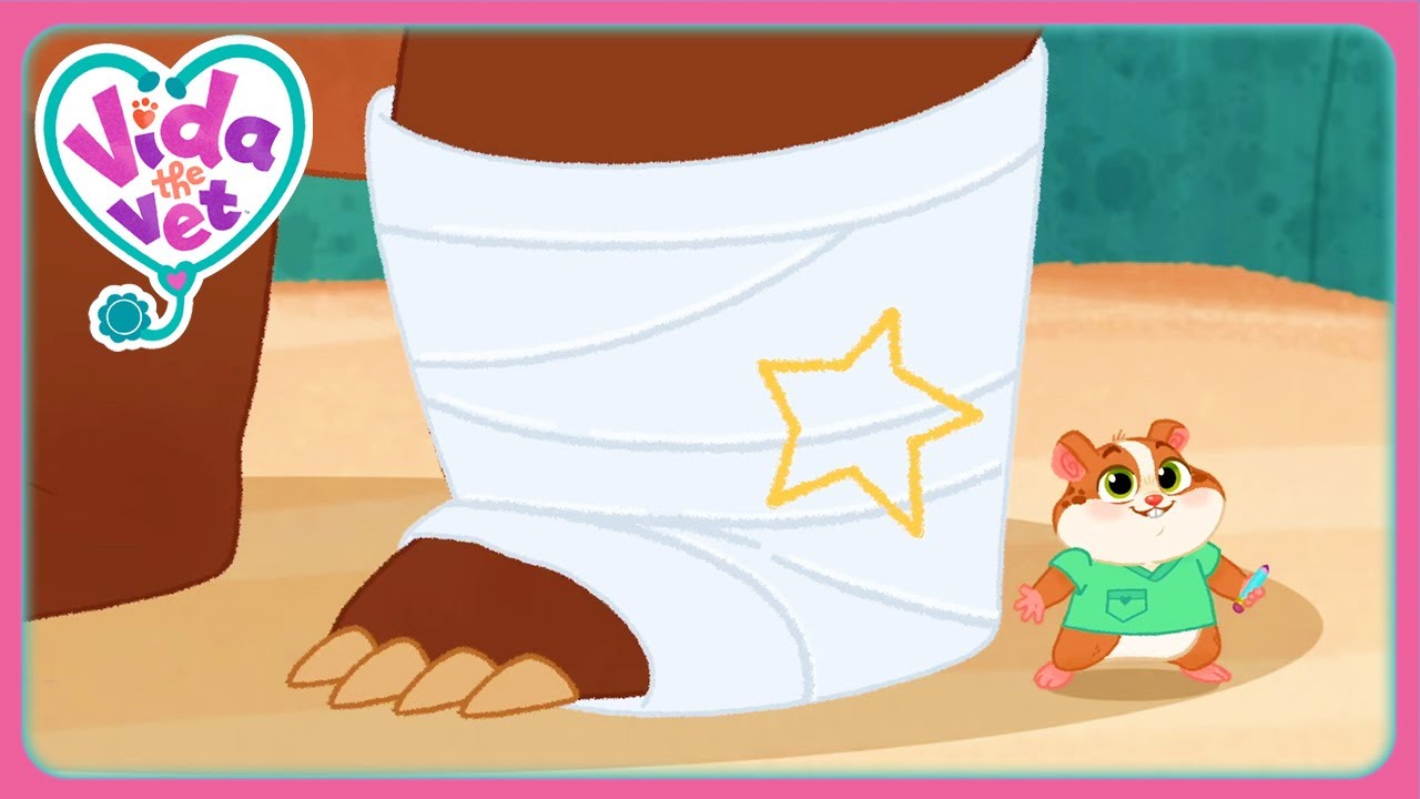 Otto Has A Sore Leg (Compilation) | Vida the Vet | Cartoons for Kids