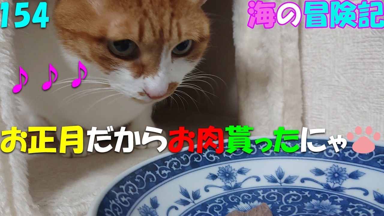 154　お正月だから和牛を食べたにゃ