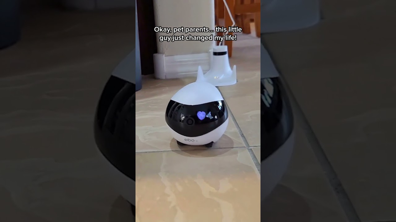 Pet Bud Cam