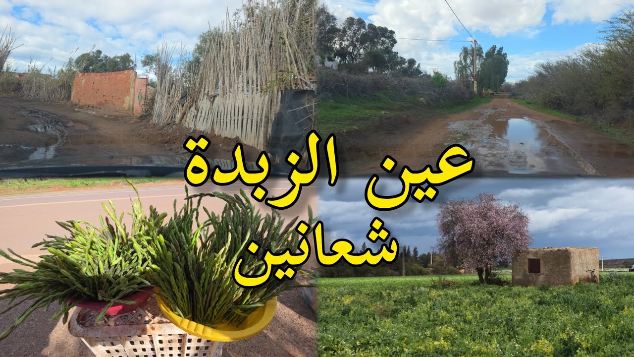 اجواء الفلاحة دوار عين الزبدة بعد امطار 