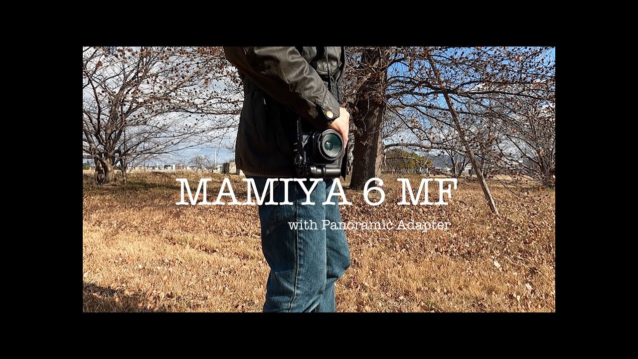 Mamiya 6 MF : Days of Gold ~ with Panoramic adapter ~