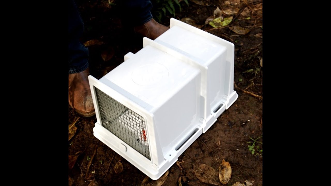 Trapinator Mustelid Tunnel. Kill Rats, Stoats, Weasels, Hedgehogs and Ferrets with a Doc 200