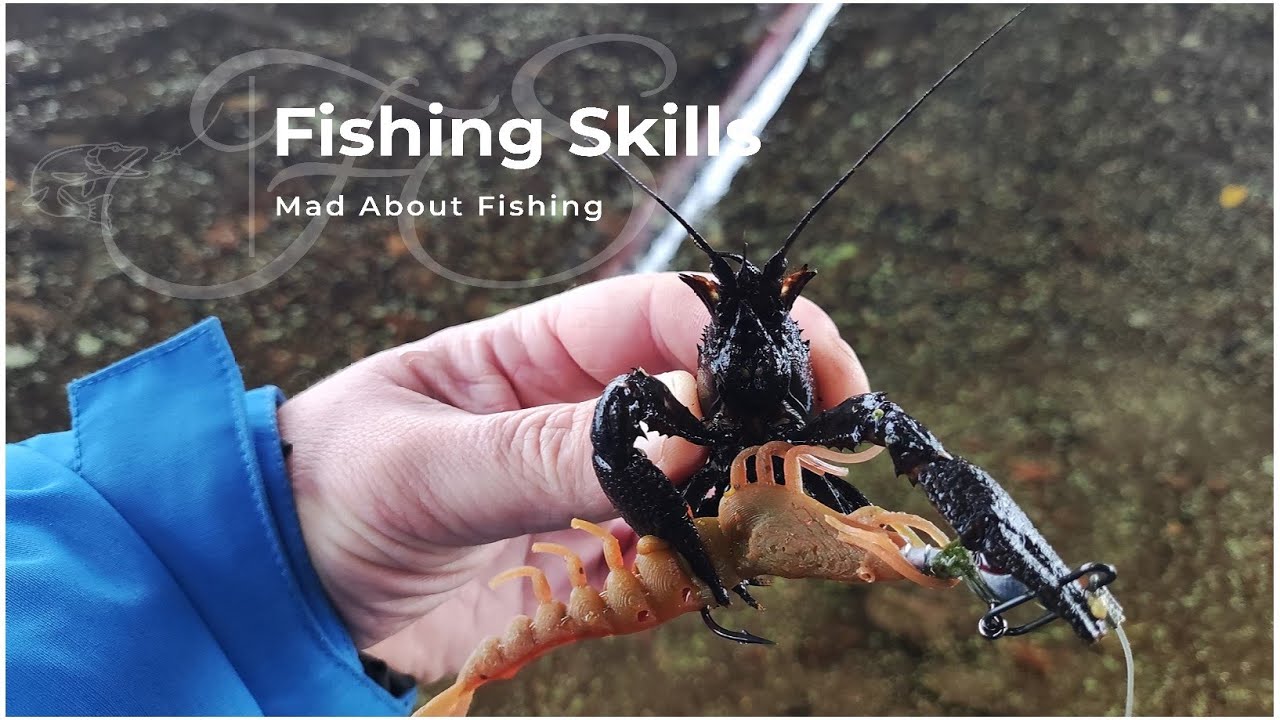 Jesienne Okonie Na Lekko | Motława Nr 3 | Czy Na Odcinku Troci Są Jeszcze Ryby? | Street fishing