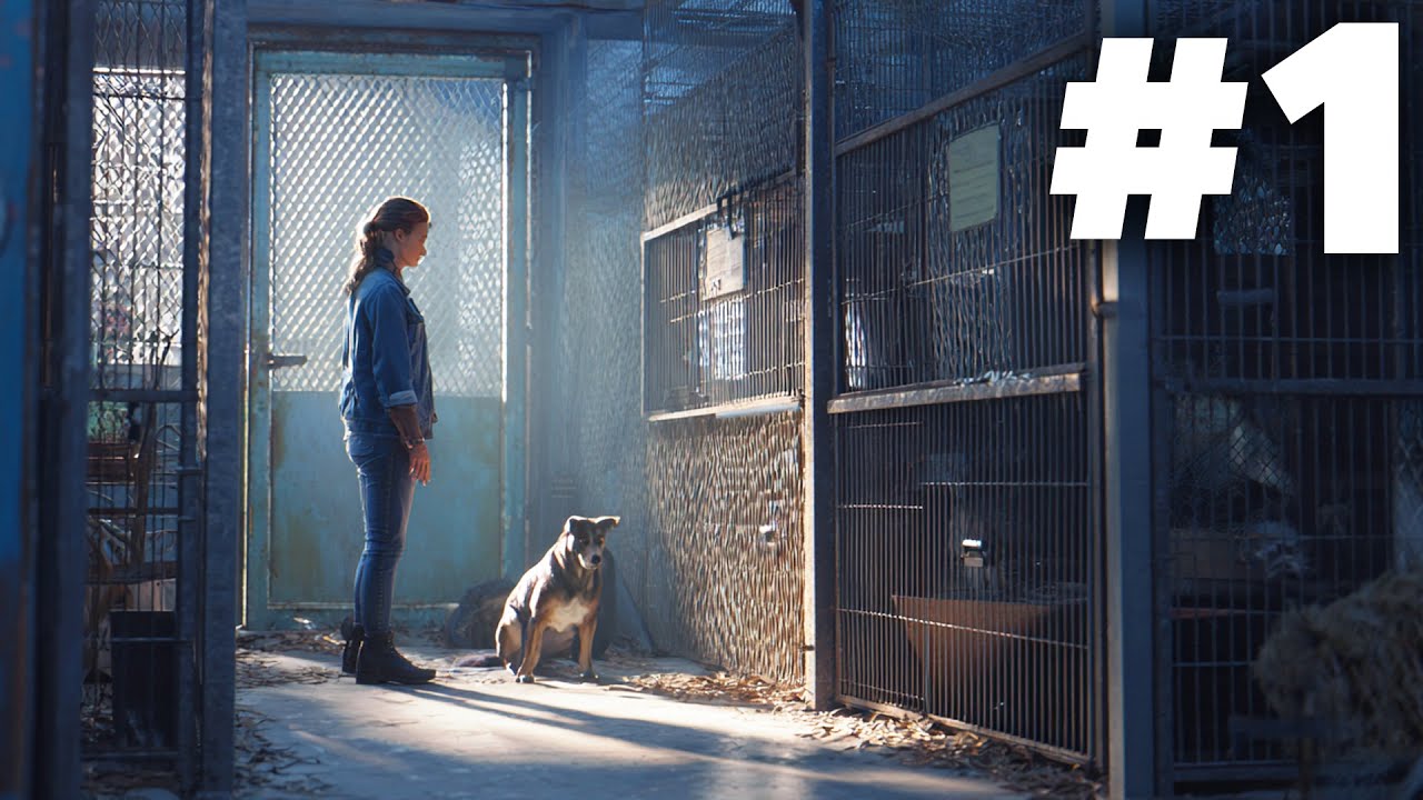 Animal Shelter 2 Gameplay Walkthrough Part 1 - INTRO