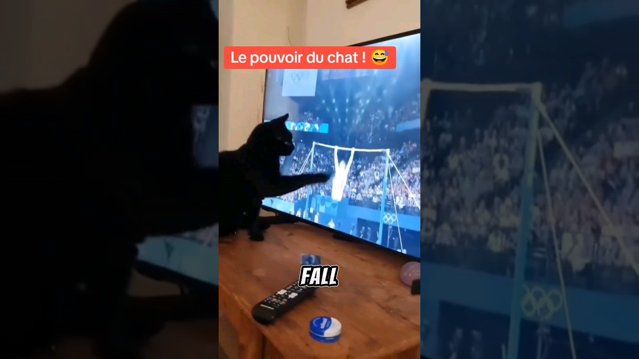Perfect Timing: Cat vs. Olympic Gymnast Fail! 🐱🤸&zwj;♂️