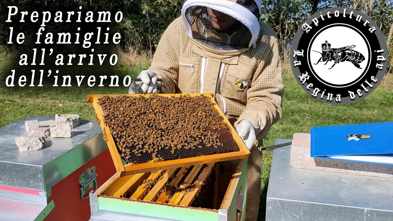 Prepariamoci all'invernamento delle nostre api