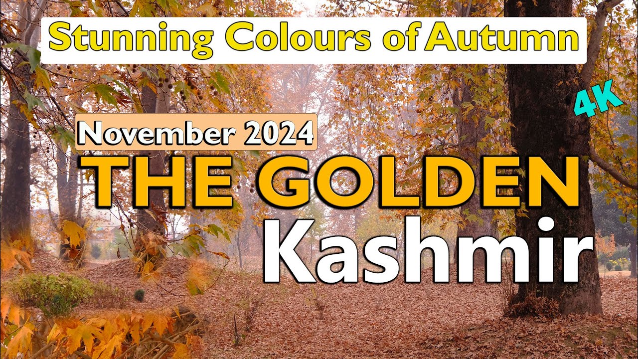 Kashmir Autumn Wonderland Nov 2024| stunning Autumn Colors | Chinar Trees| November trip details|