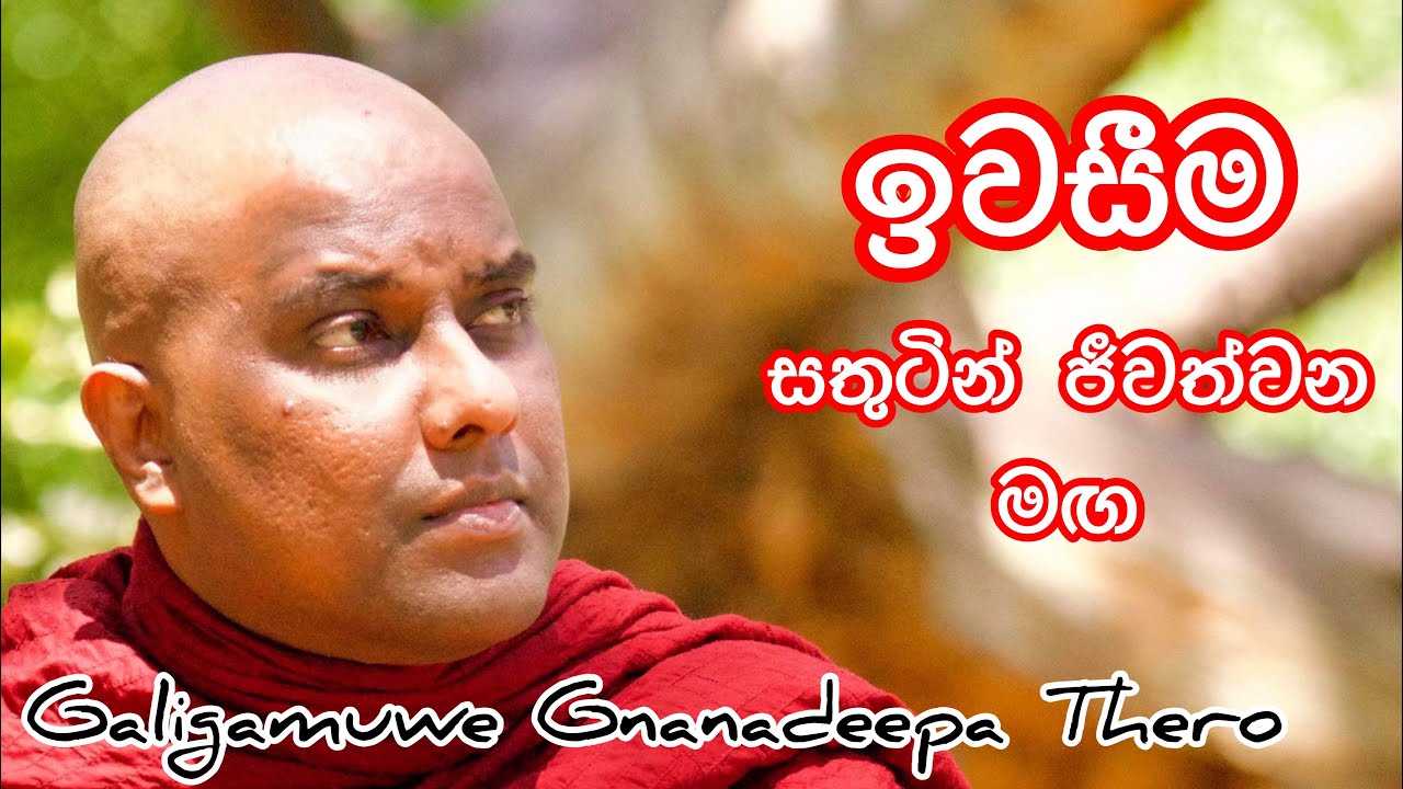 ඉවසීම, කේන්තිය පාලනය කලහැකි ප්‍රායොගික ක්‍රම - Galigamuwe Gnanadeepa Thero