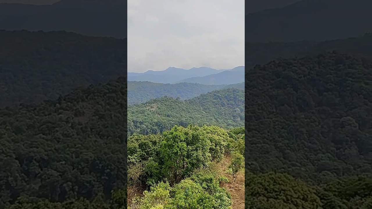 Silent valley National park  | Palakkad | Kerala | #silentvalley #hillstationsofindia #palakkad