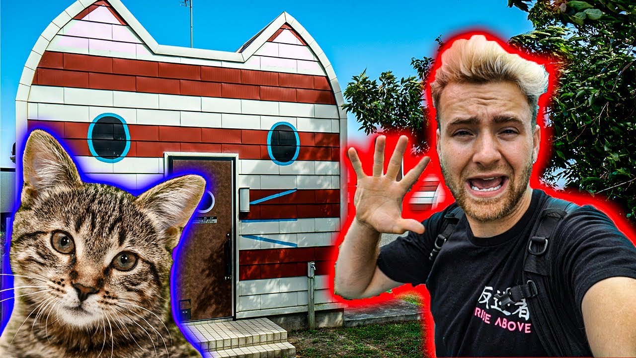 Exploring Cat Island - houses shaped as Cats AMAZING  * cat lovers dream *
