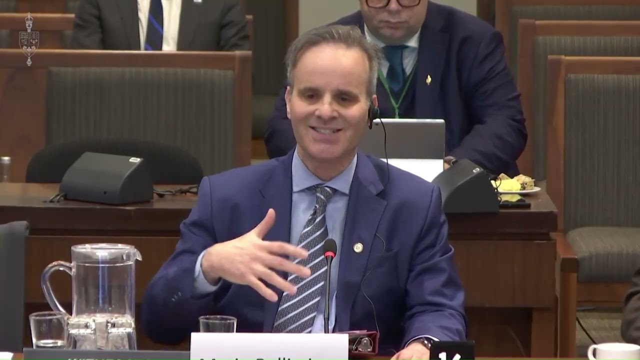 Mario Bellissimo’s Testimony Before the House of Commons on Bill C-12