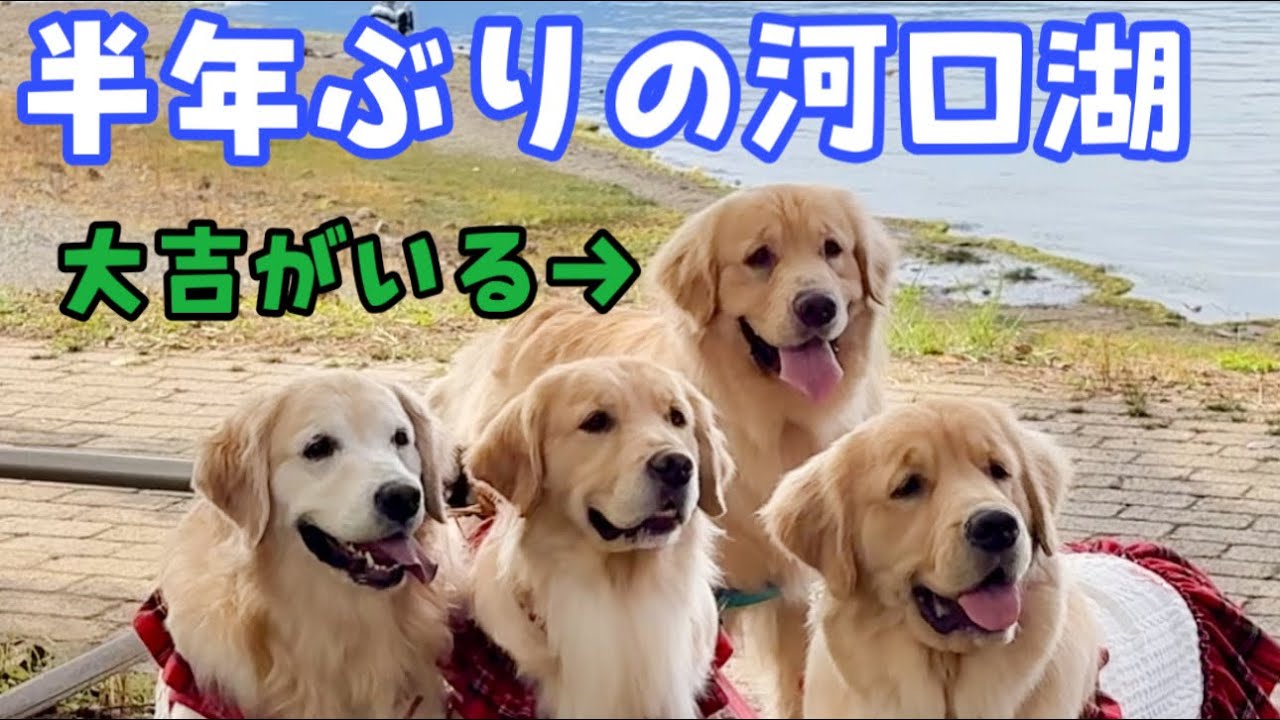 半年ぶりに富士山に会いに行ったら大吉がいた