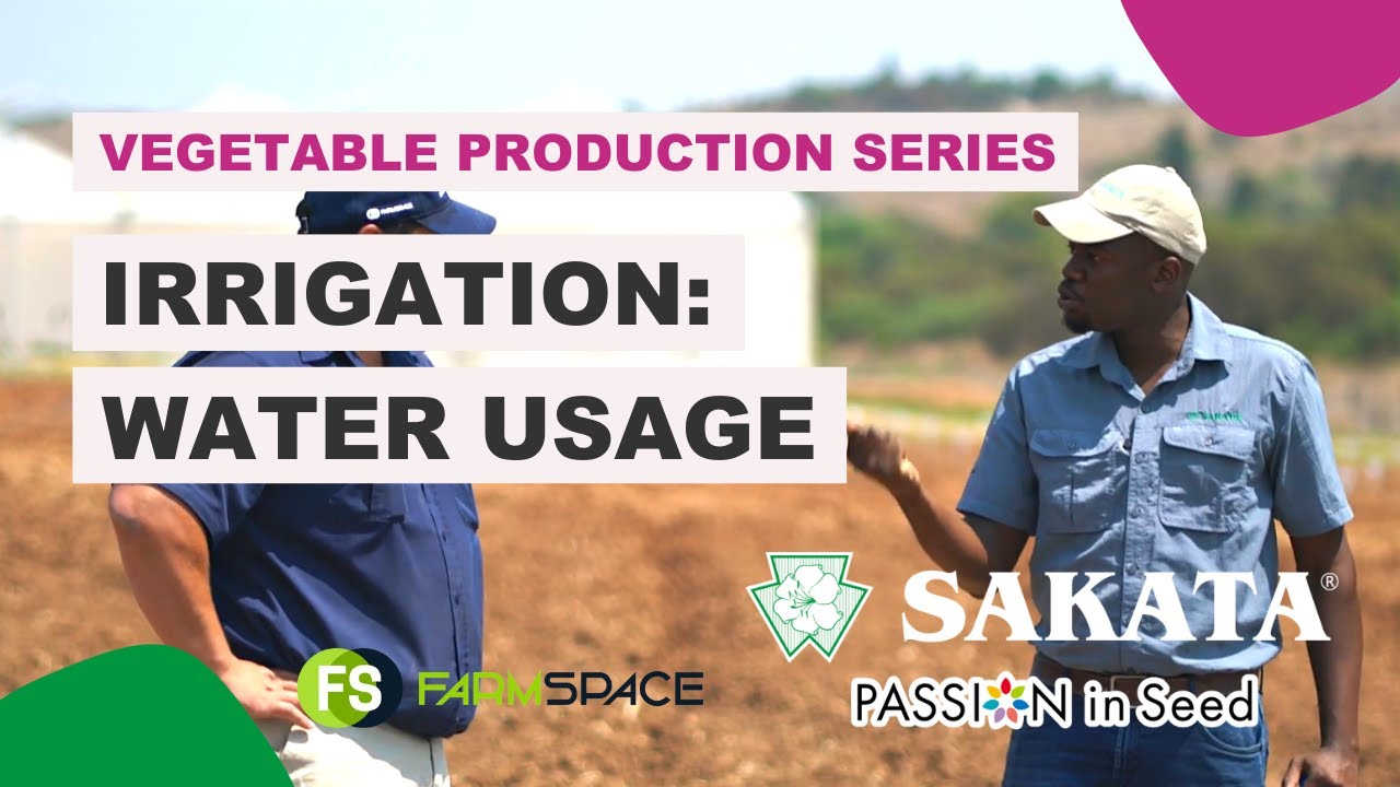 #6 Irrigation: Water Usage