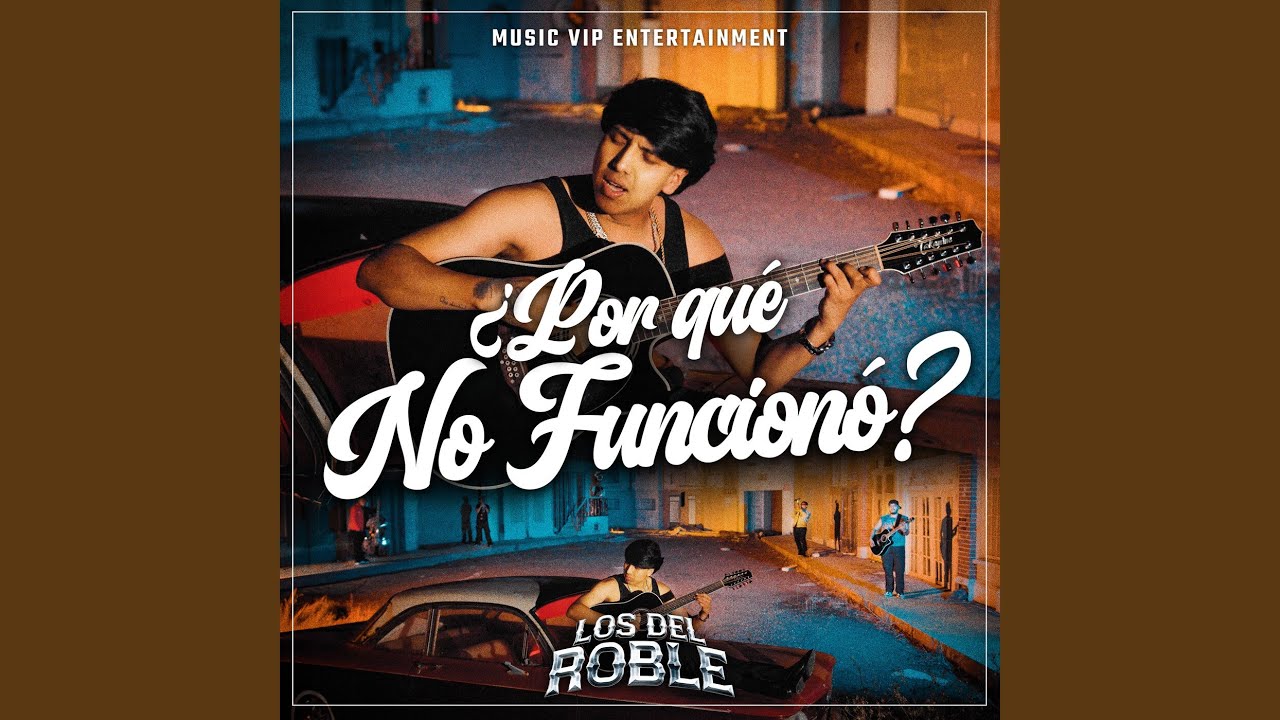 ¿Por Qué No Funcionó?